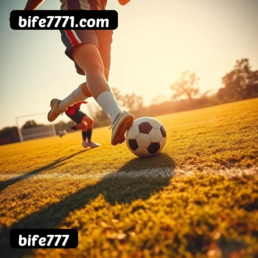 6 vantagens exclusivas do programa VIP da bife777